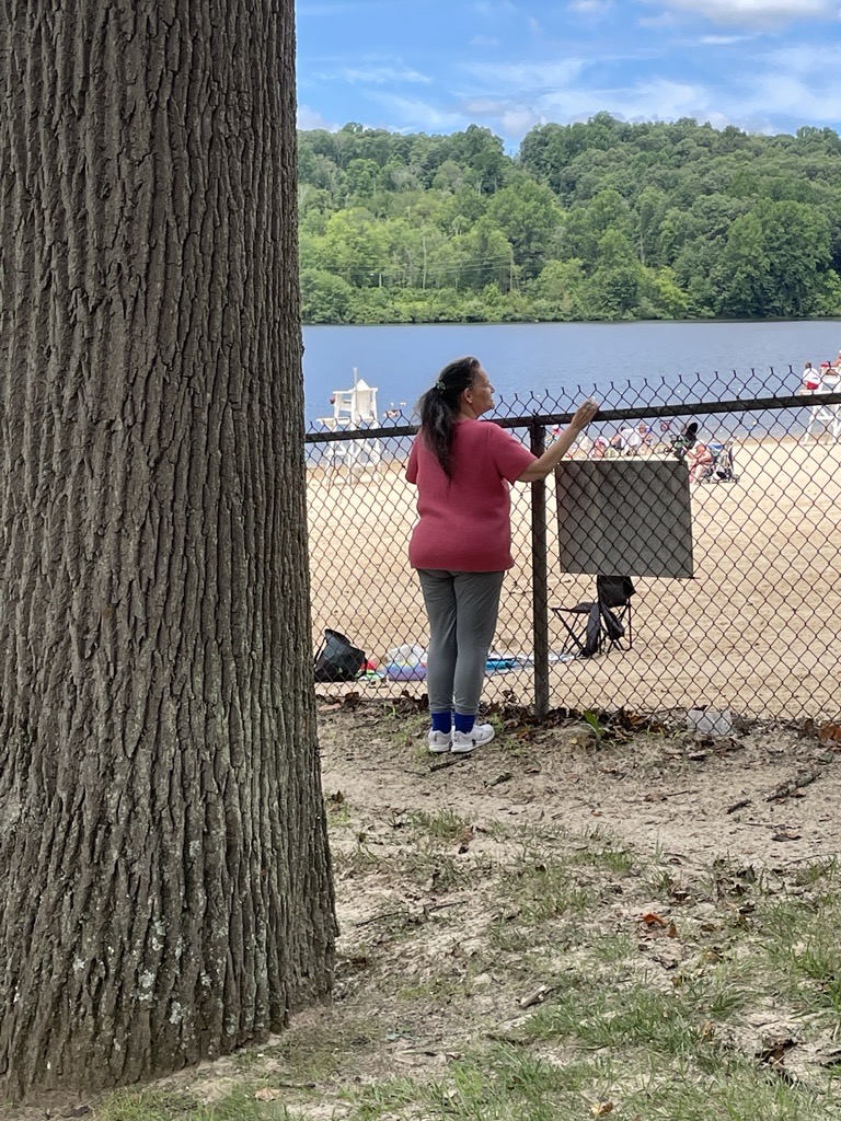 A person wearing a pink shirt and gray pants stands by a chain-link fence, looking out at a sandy beach with people and a lake in the background. A large tree trunk is visible in the foreground, with green trees and hills across the lake under a partly cloudy sky.