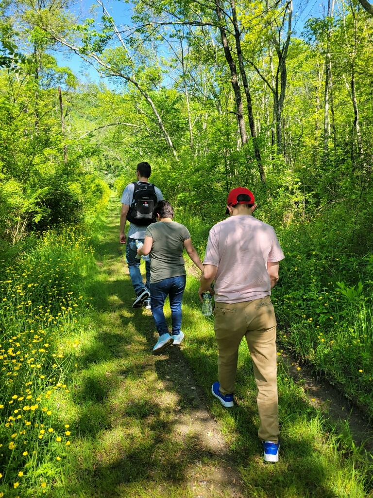 Three people are walking on a dirt path through a lush green forest. The path is surrounded by tall grass and small yellow flowers, with trees arching overhead under a clear blue sky.